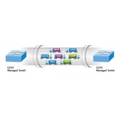 Nätverksväxel med 24 x RJ45 koppar och 4 x 10Gbps SFP (GS-5220-24T4XV)
