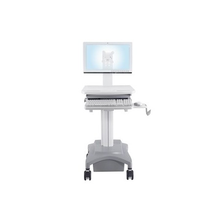 Mobile Computing Cart ( HC-101 )