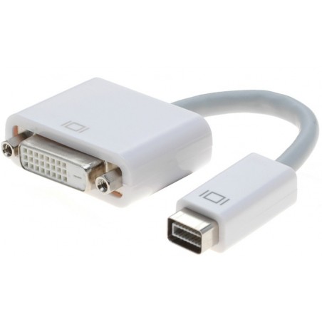 Mini DVI-D-adapter för DVI-D - 1920 x 1200