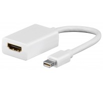 DisplayPort adapter / omvandlare